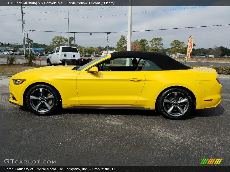 Triple Yellow Tricoat / Ebony 2016 Ford Mustang V6 Convertible