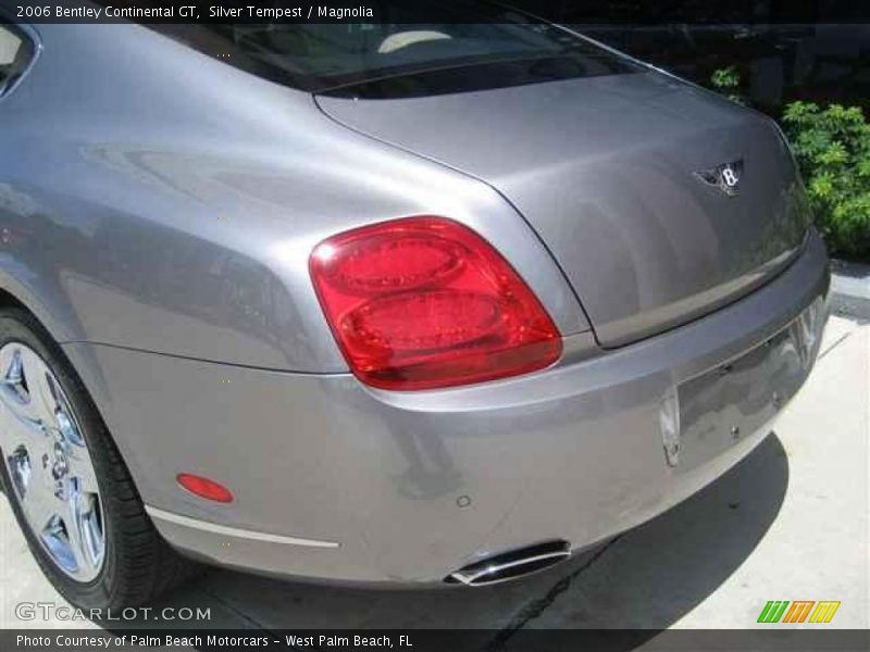 Silver Tempest / Magnolia 2006 Bentley Continental GT