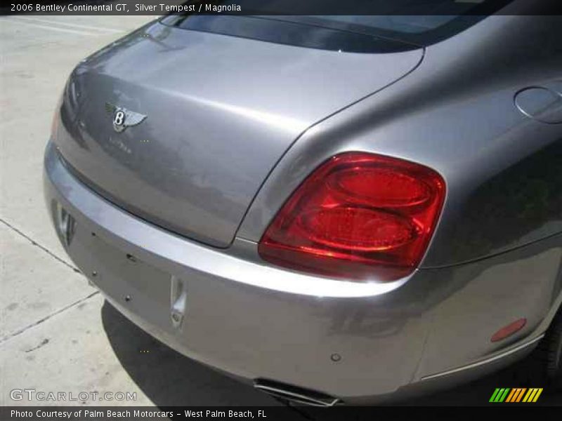 Silver Tempest / Magnolia 2006 Bentley Continental GT