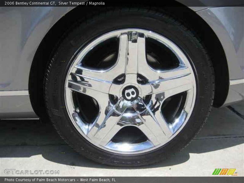 Silver Tempest / Magnolia 2006 Bentley Continental GT