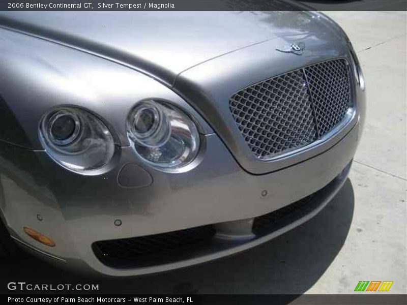 Silver Tempest / Magnolia 2006 Bentley Continental GT