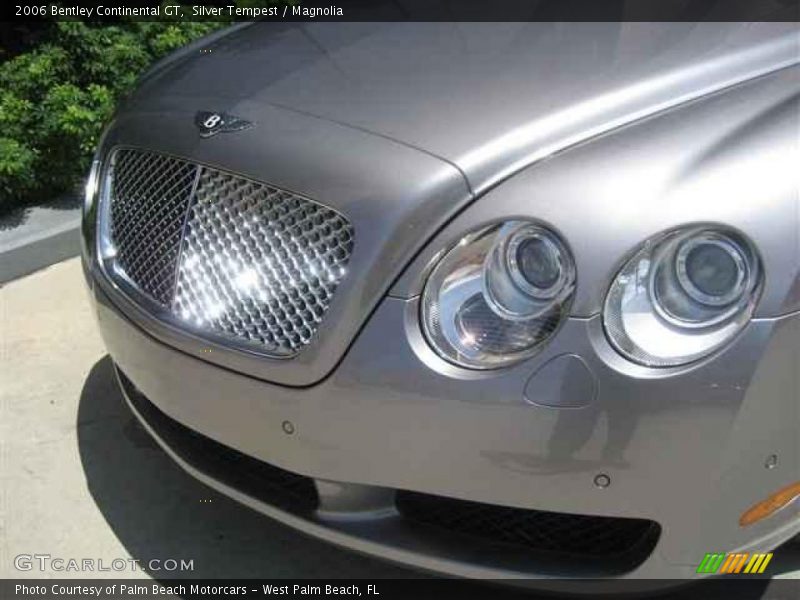 Silver Tempest / Magnolia 2006 Bentley Continental GT