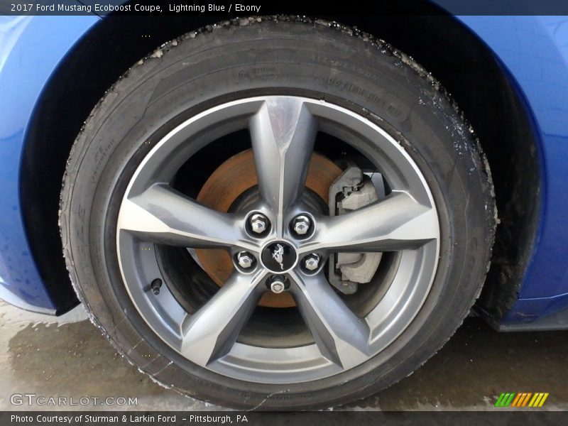Lightning Blue / Ebony 2017 Ford Mustang Ecoboost Coupe