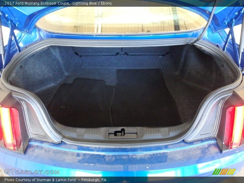 Lightning Blue / Ebony 2017 Ford Mustang Ecoboost Coupe