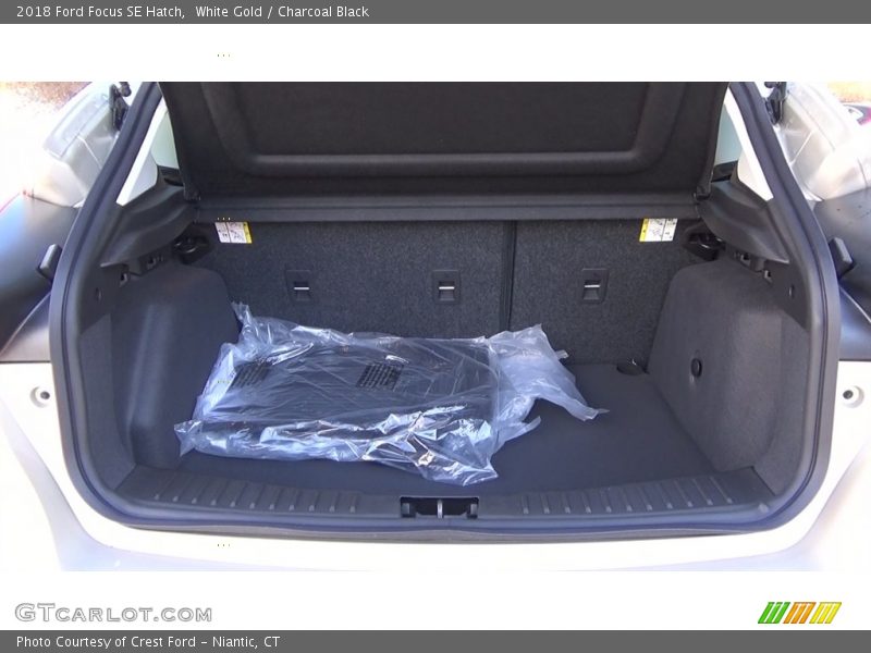 White Gold / Charcoal Black 2018 Ford Focus SE Hatch