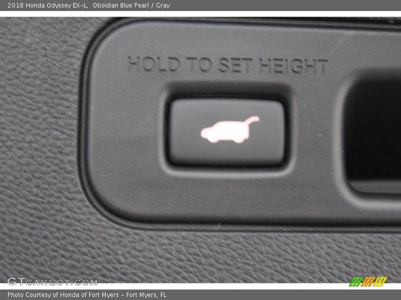 Obsidian Blue Pearl / Gray 2018 Honda Odyssey EX-L