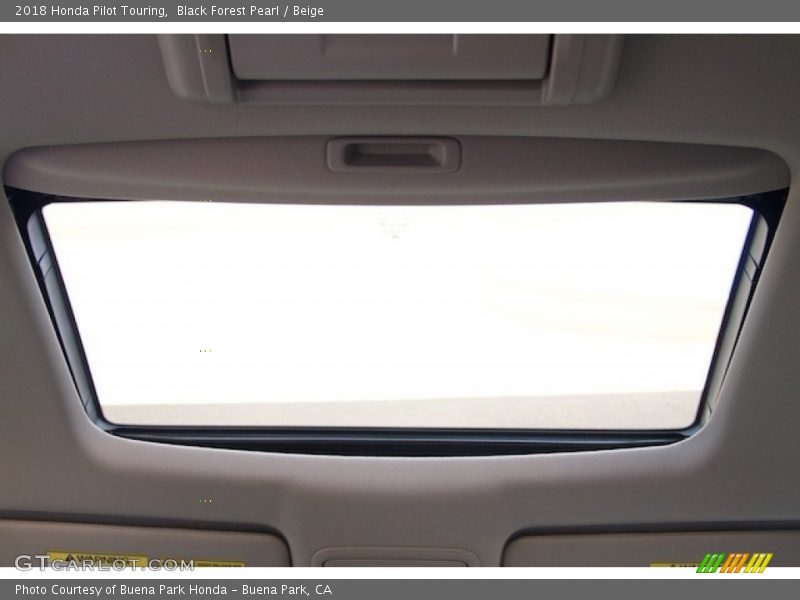 Black Forest Pearl / Beige 2018 Honda Pilot Touring