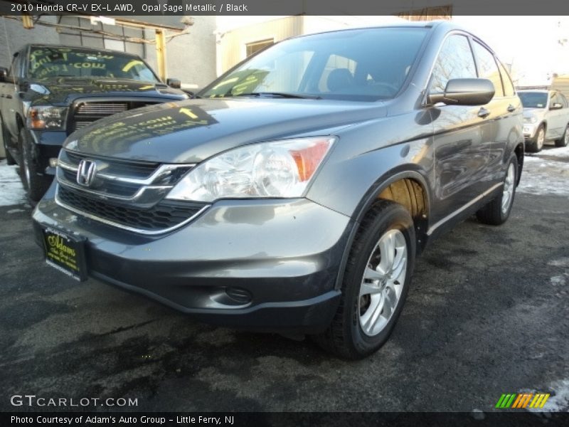 Opal Sage Metallic / Black 2010 Honda CR-V EX-L AWD