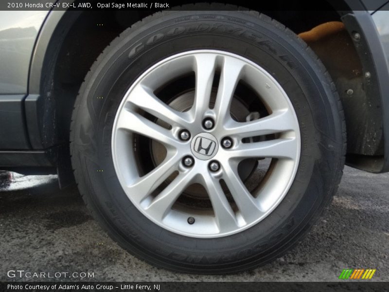 Opal Sage Metallic / Black 2010 Honda CR-V EX-L AWD