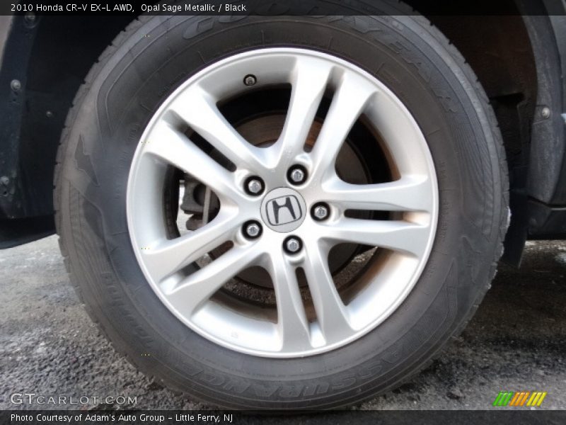 Opal Sage Metallic / Black 2010 Honda CR-V EX-L AWD