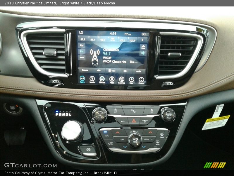 Bright White / Black/Deep Mocha 2018 Chrysler Pacifica Limited