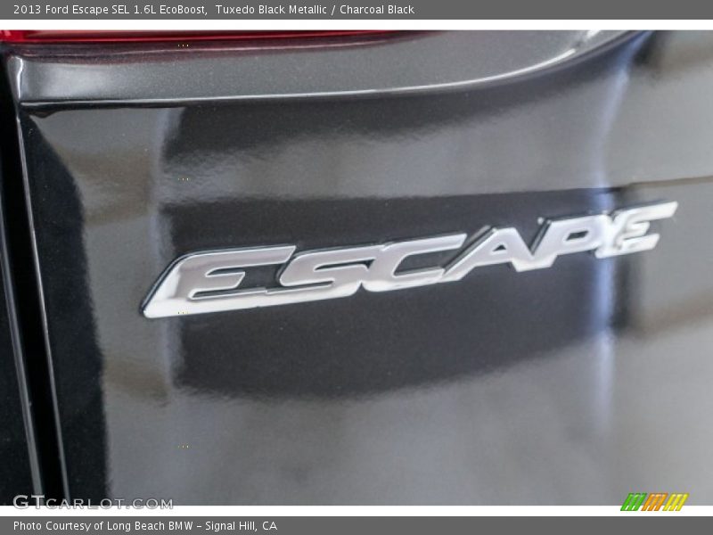 Tuxedo Black Metallic / Charcoal Black 2013 Ford Escape SEL 1.6L EcoBoost