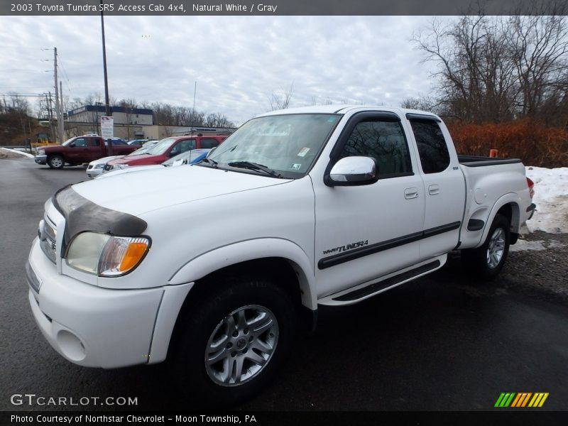 Natural White / Gray 2003 Toyota Tundra SR5 Access Cab 4x4