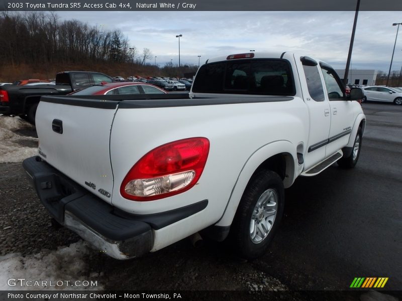 Natural White / Gray 2003 Toyota Tundra SR5 Access Cab 4x4
