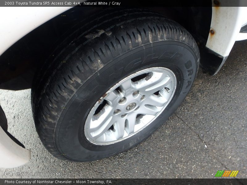 Natural White / Gray 2003 Toyota Tundra SR5 Access Cab 4x4