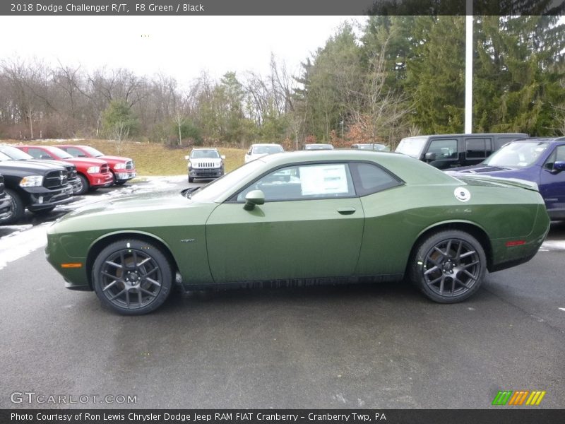 F8 Green / Black 2018 Dodge Challenger R/T