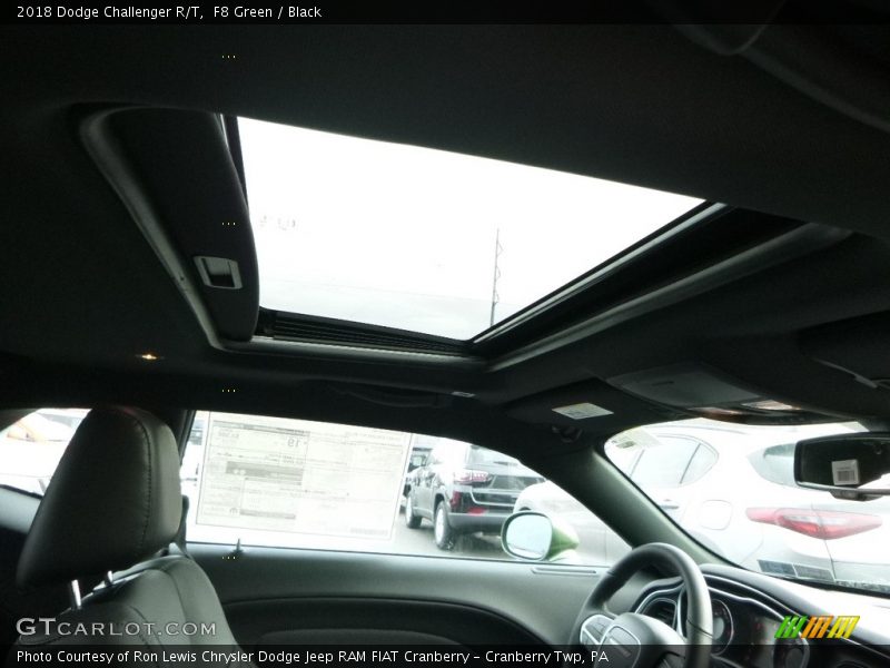 F8 Green / Black 2018 Dodge Challenger R/T