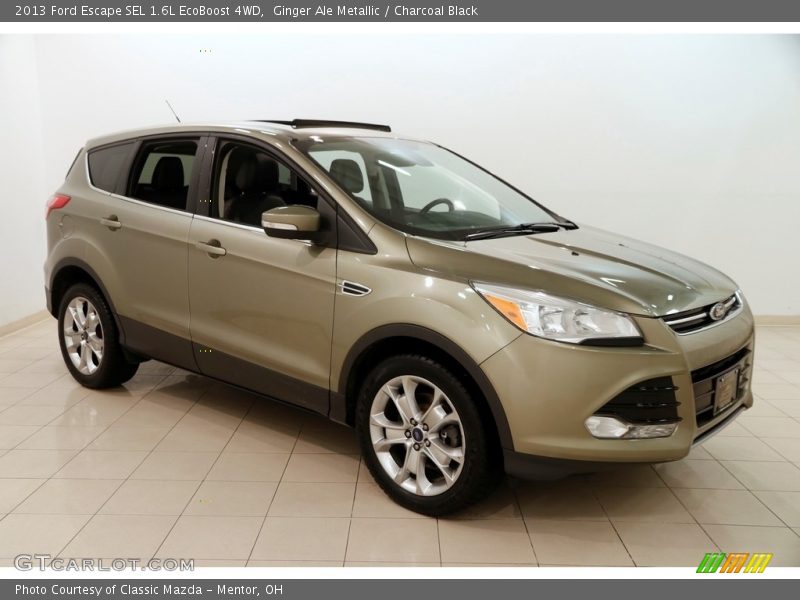 Ginger Ale Metallic / Charcoal Black 2013 Ford Escape SEL 1.6L EcoBoost 4WD