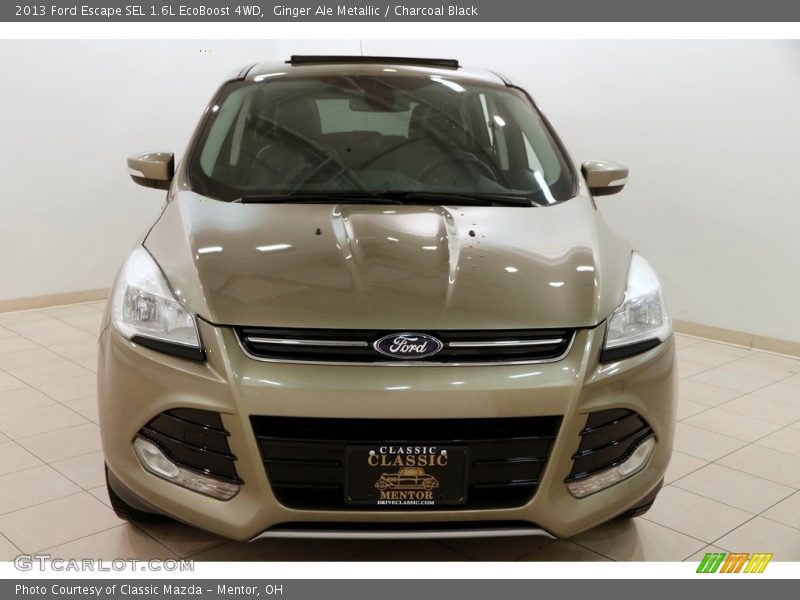 Ginger Ale Metallic / Charcoal Black 2013 Ford Escape SEL 1.6L EcoBoost 4WD