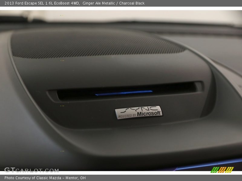 Ginger Ale Metallic / Charcoal Black 2013 Ford Escape SEL 1.6L EcoBoost 4WD