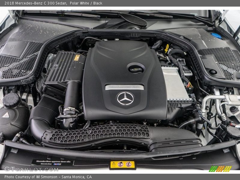 Polar White / Black 2018 Mercedes-Benz C 300 Sedan