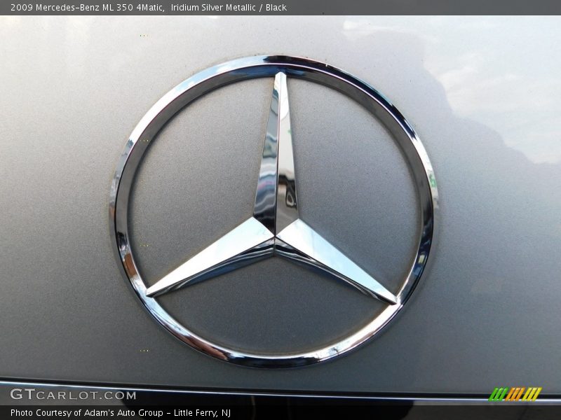 Iridium Silver Metallic / Black 2009 Mercedes-Benz ML 350 4Matic
