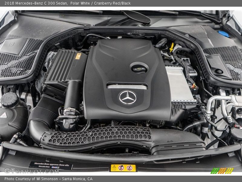 Polar White / Cranberry Red/Black 2018 Mercedes-Benz C 300 Sedan