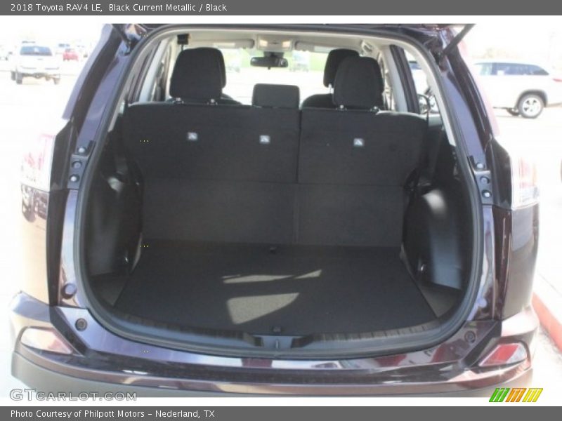 Black Current Metallic / Black 2018 Toyota RAV4 LE