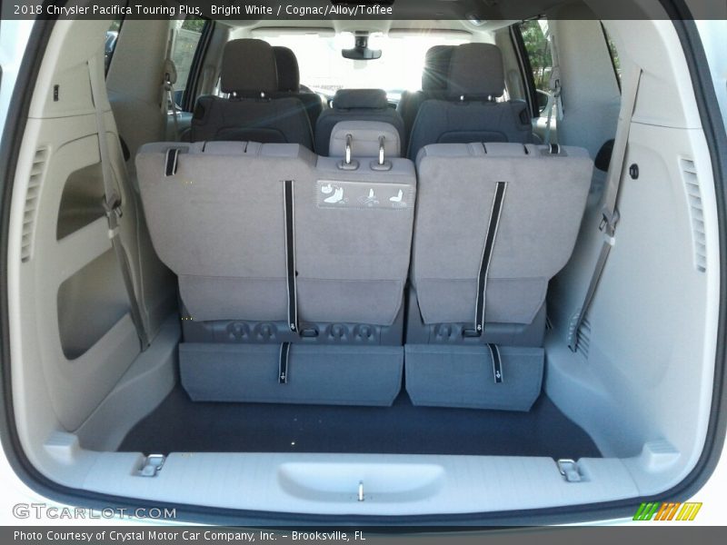 Bright White / Cognac/Alloy/Toffee 2018 Chrysler Pacifica Touring Plus