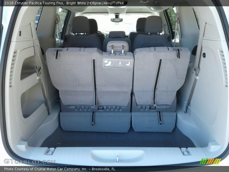 Bright White / Cognac/Alloy/Toffee 2018 Chrysler Pacifica Touring Plus