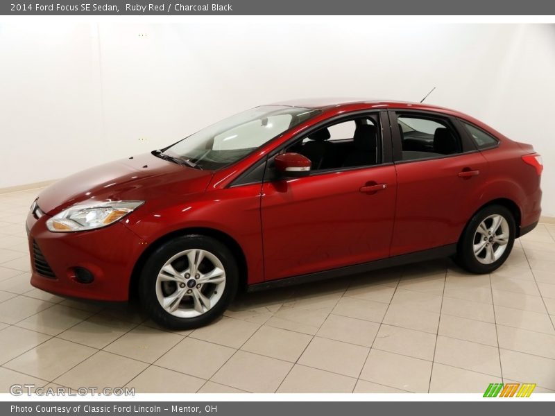 Ruby Red / Charcoal Black 2014 Ford Focus SE Sedan