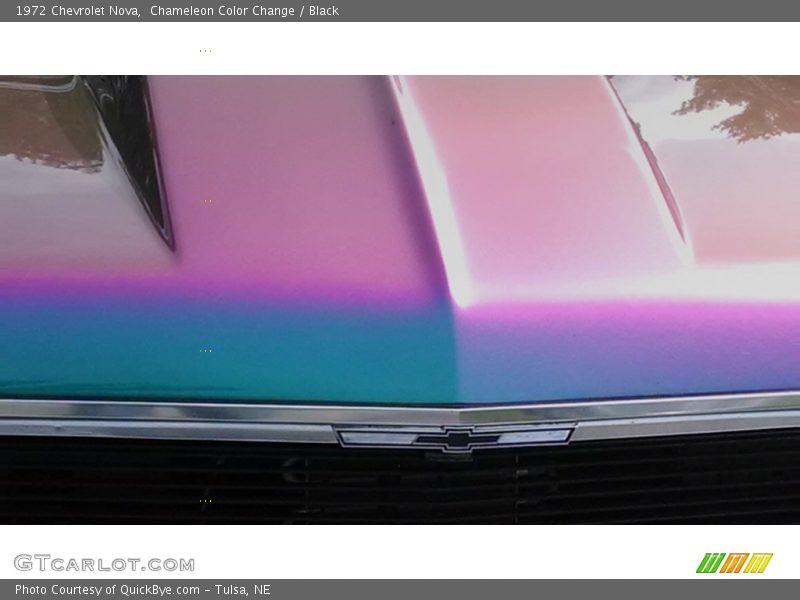 Chameleon Color Change / Black 1972 Chevrolet Nova