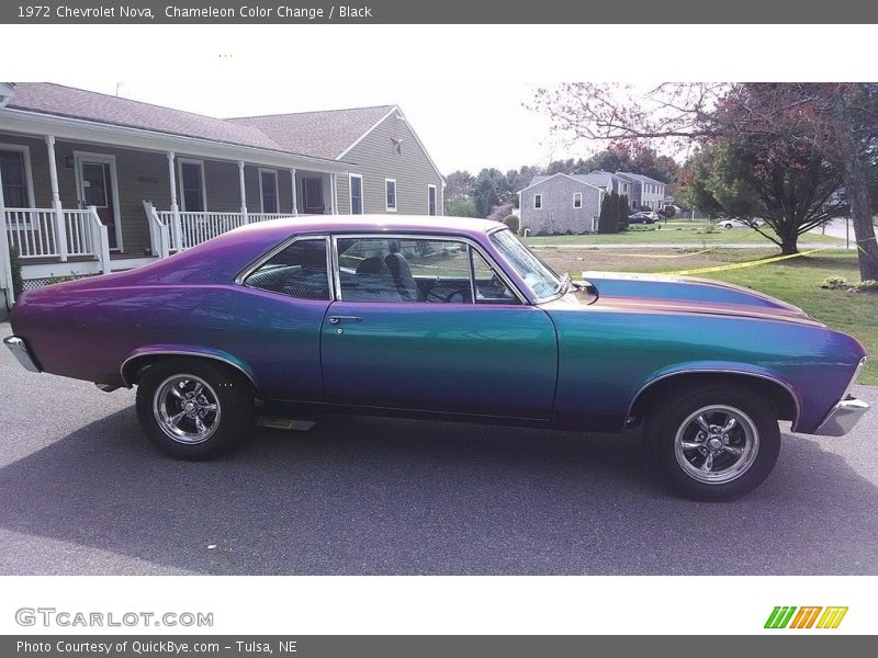  1972 Nova  Chameleon Color Change
