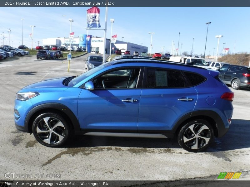 Caribbean Blue / Black 2017 Hyundai Tucson Limited AWD