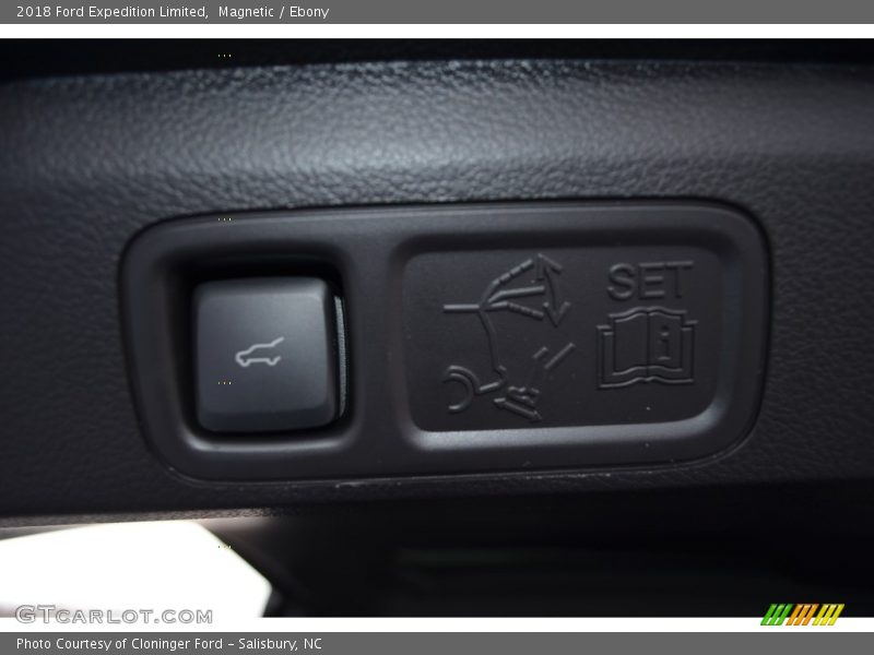 Magnetic / Ebony 2018 Ford Expedition Limited