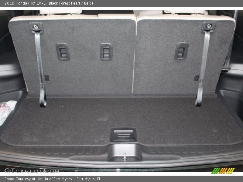 Black Forest Pearl / Beige 2018 Honda Pilot EX-L