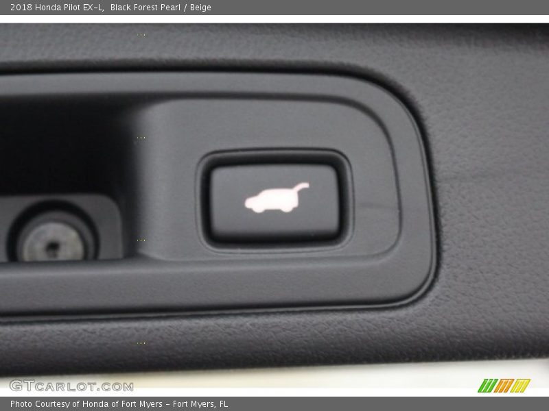 Black Forest Pearl / Beige 2018 Honda Pilot EX-L