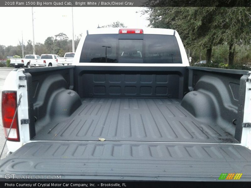 Bright White / Black/Diesel Gray 2018 Ram 1500 Big Horn Quad Cab