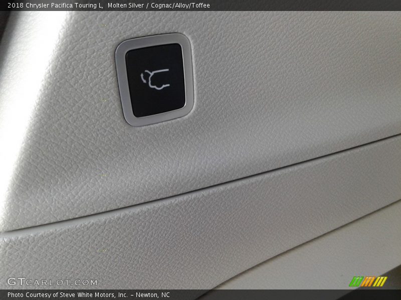 Molten Silver / Cognac/Alloy/Toffee 2018 Chrysler Pacifica Touring L