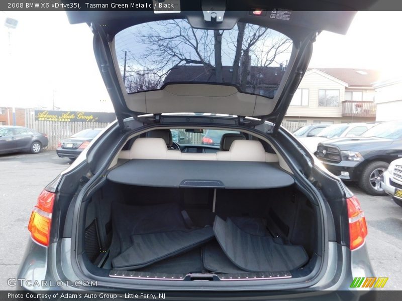 Tasman Green Metallic / Black 2008 BMW X6 xDrive35i