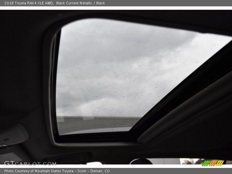 Black Current Metallic / Black 2018 Toyota RAV4 XLE AWD