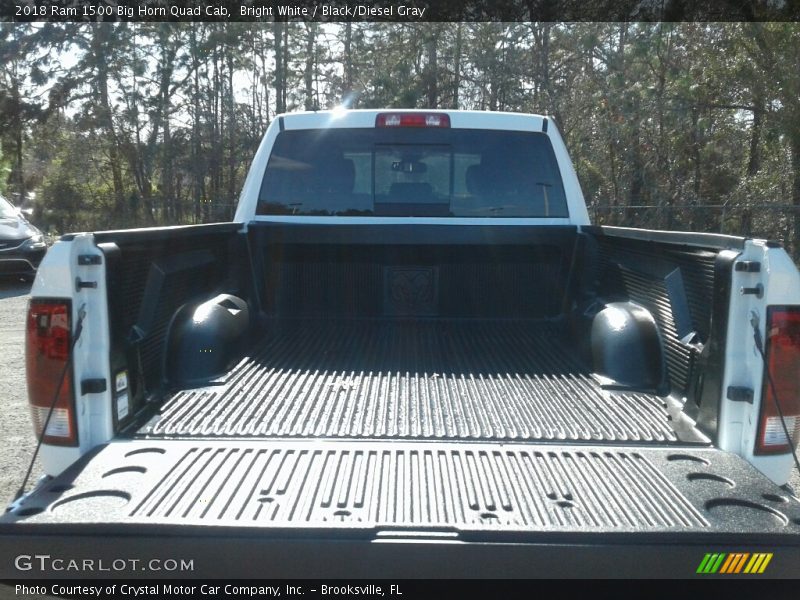 Bright White / Black/Diesel Gray 2018 Ram 1500 Big Horn Quad Cab