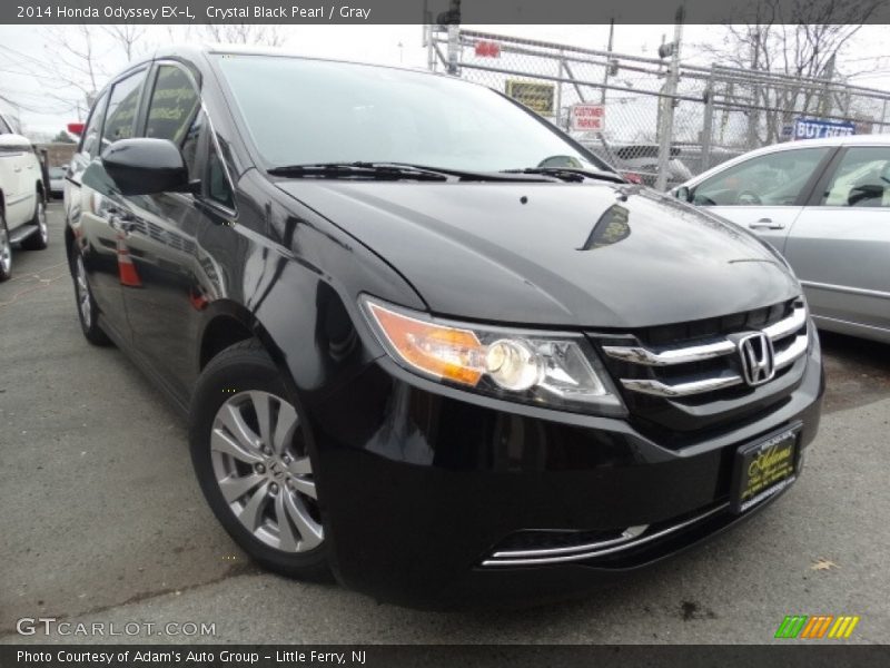 Crystal Black Pearl / Gray 2014 Honda Odyssey EX-L