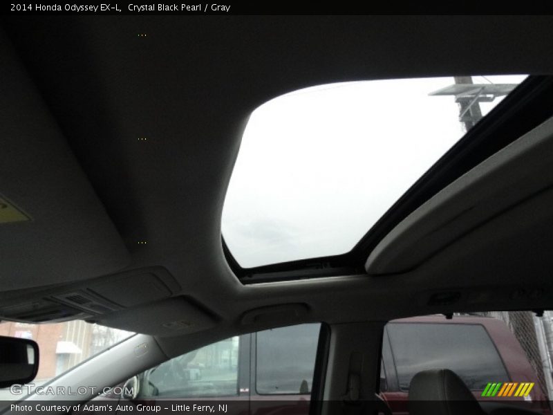 Crystal Black Pearl / Gray 2014 Honda Odyssey EX-L