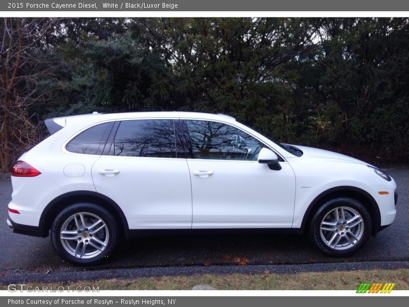 White / Black/Luxor Beige 2015 Porsche Cayenne Diesel