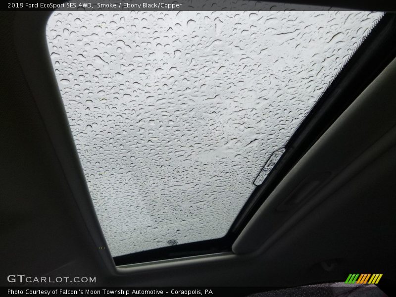 Smoke / Ebony Black/Copper 2018 Ford EcoSport SES 4WD