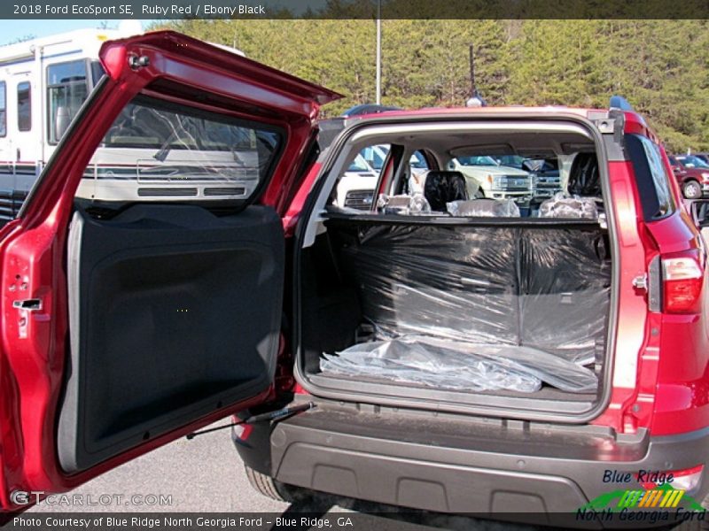 Ruby Red / Ebony Black 2018 Ford EcoSport SE
