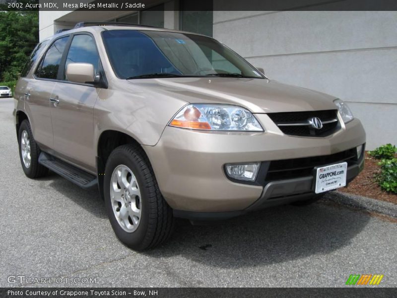 Mesa Beige Metallic / Saddle 2002 Acura MDX