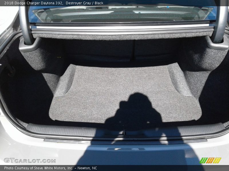 Destroyer Gray / Black 2018 Dodge Charger Daytona 392
