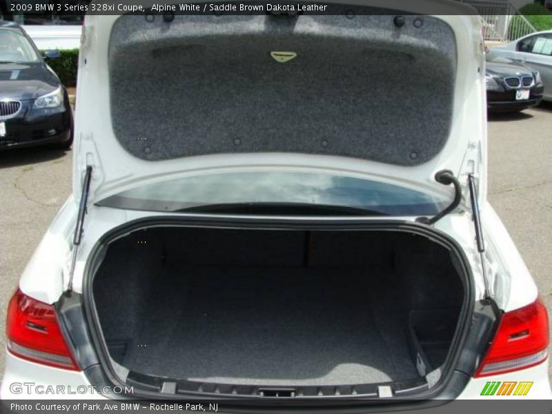 Alpine White / Saddle Brown Dakota Leather 2009 BMW 3 Series 328xi Coupe